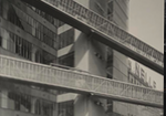 rotterdam thumb